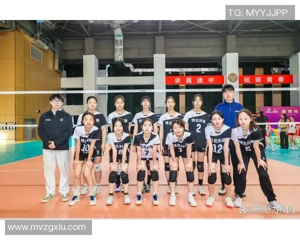 排球力量排行榜：南京排球队位居第1名