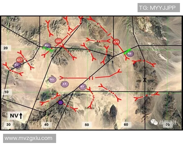 深圳篮球队的默契配合与战术分析探索之旅