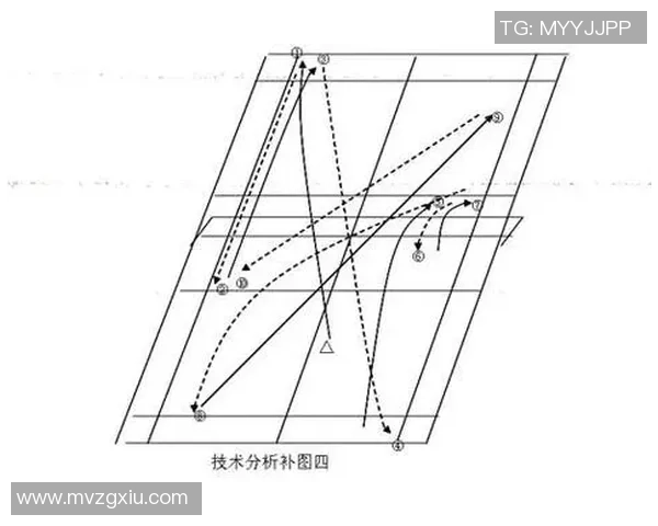 重庆羽毛球队在冠军赛中的战术表现分析与总结