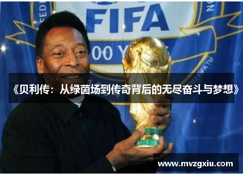《贝利传：从绿茵场到传奇背后的无尽奋斗与梦想》