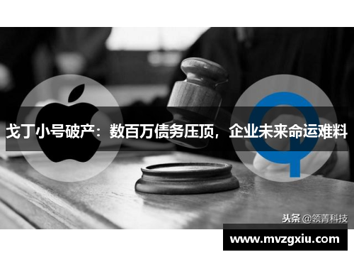 戈丁小号破产：数百万债务压顶，企业未来命运难料